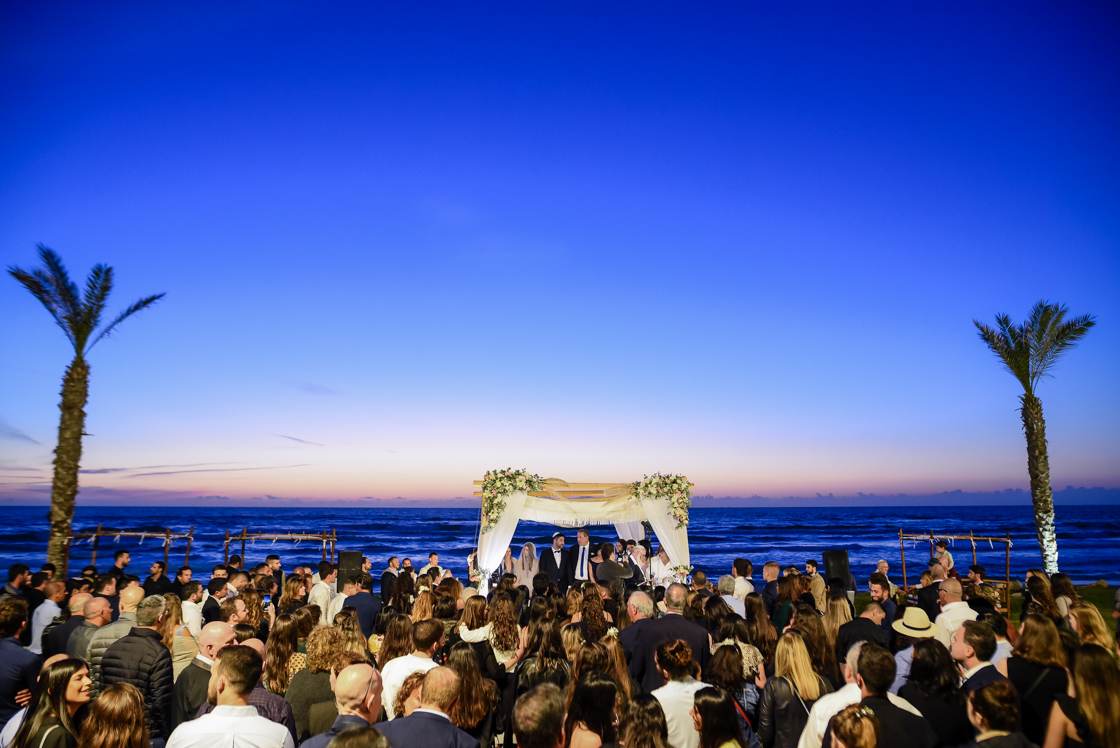 Wedding Highlight